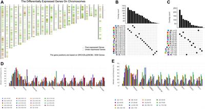 Identification of tumor antigens and immunogenic cell death-related subtypes for the improvement of immunotherapy of breast cancer